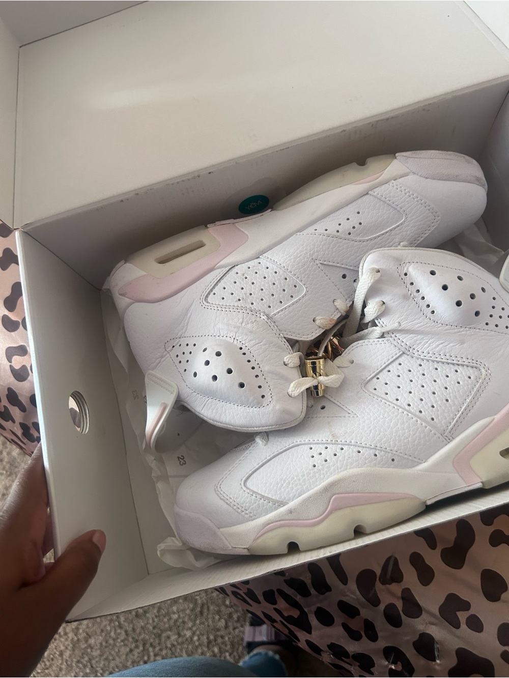 Women's Retro Air Jordan 6